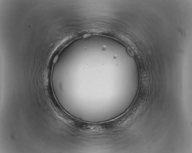 X0000112370395200908271323