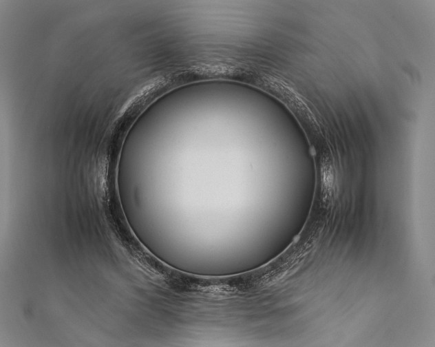 X0000112370396200908271323