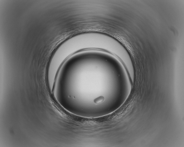 X0000112370397200908271323