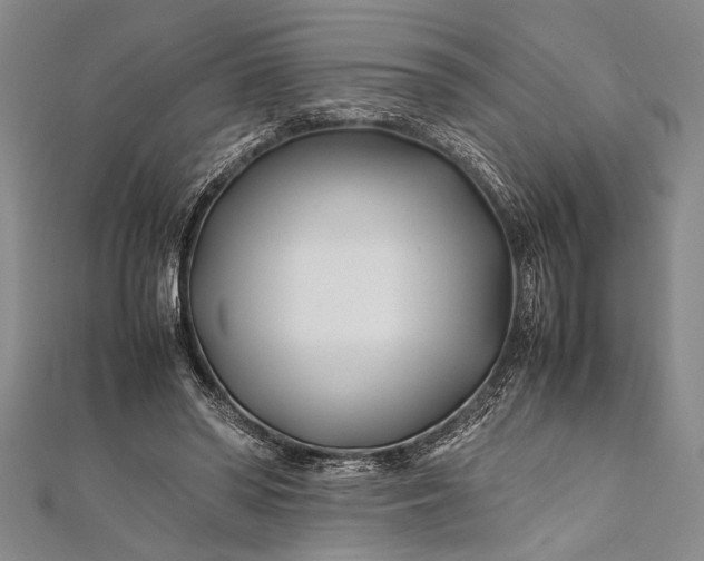 X0000112370398200908271323