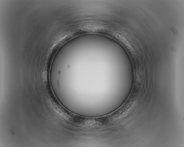 X0000112370399200908271323