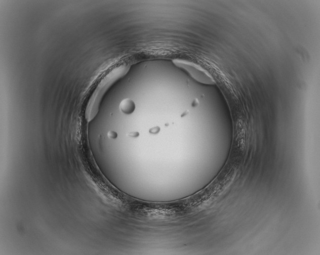 X0000112370400200908271323