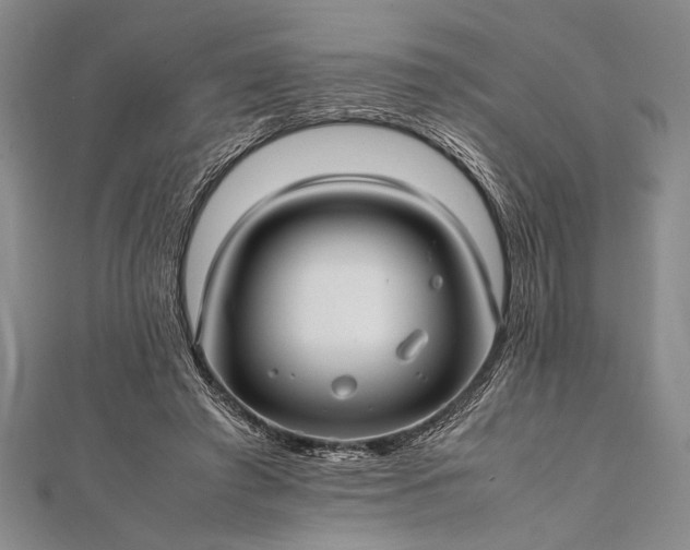 X0000112370401200908271323