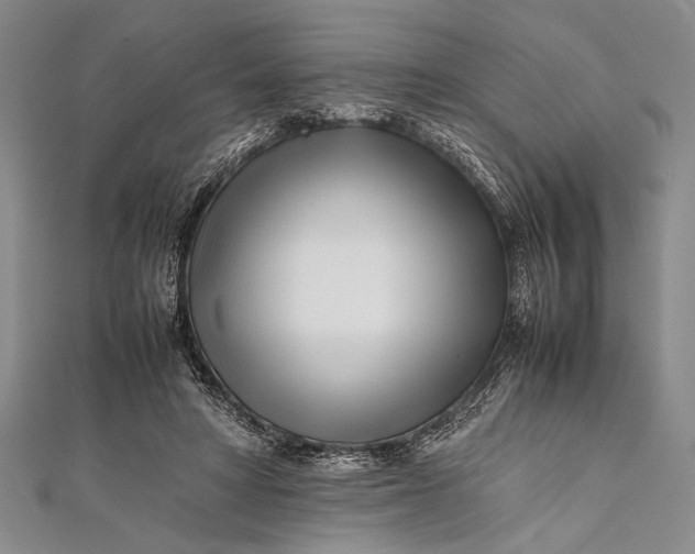 X0000112370402200908271323