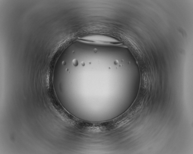 X0000112370404200908271323