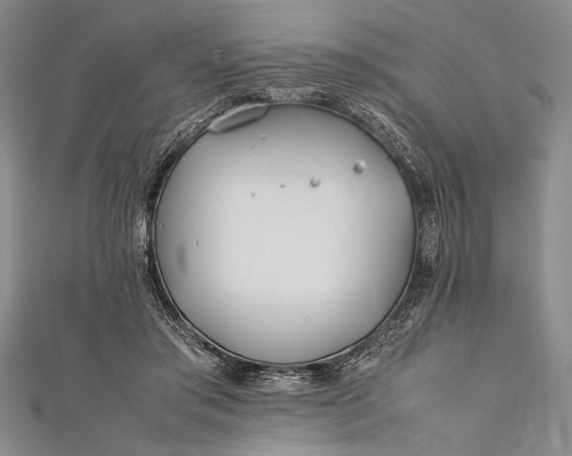 X0000112370405200908271323