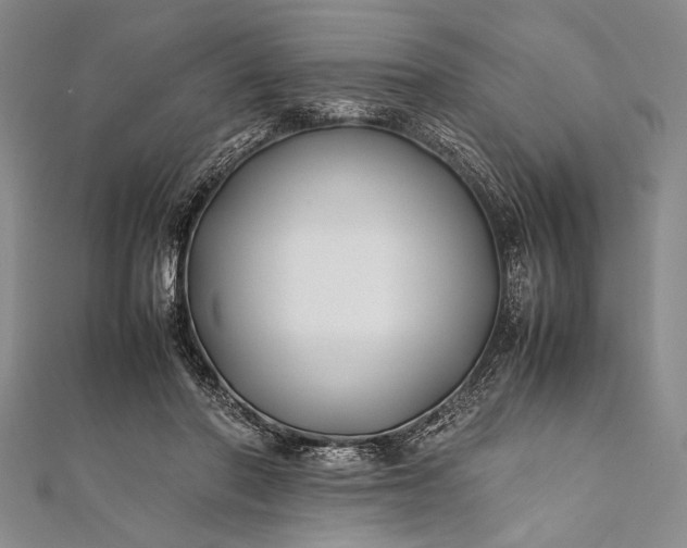 X0000112370406200908271323