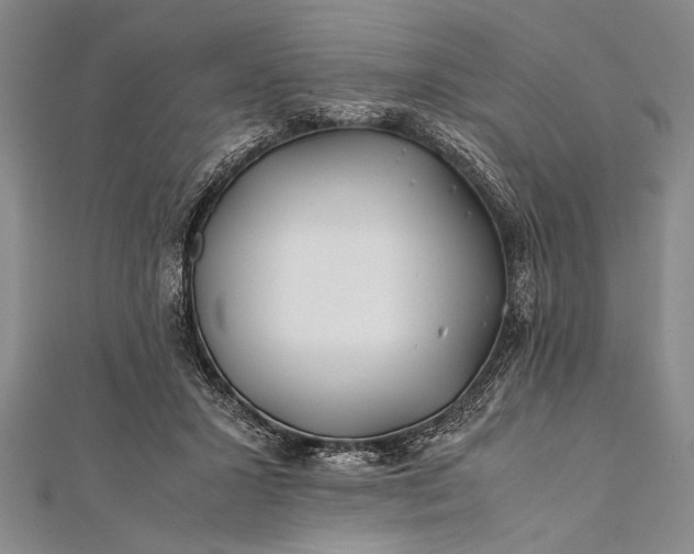 X0000112370407200908271323