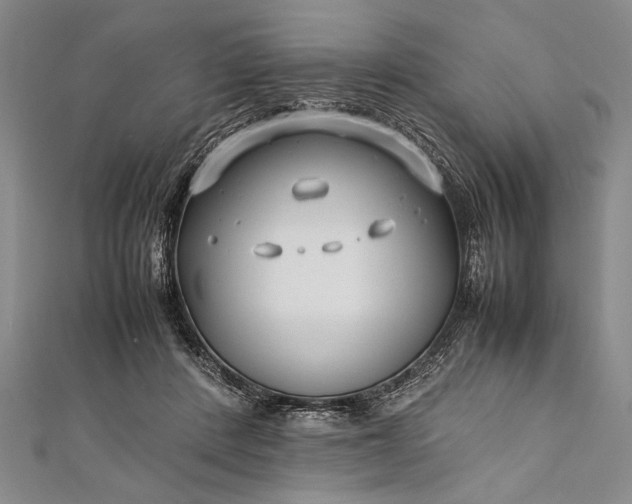 X0000112370408200908271323