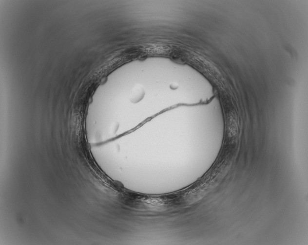 X0000112370409200908271323