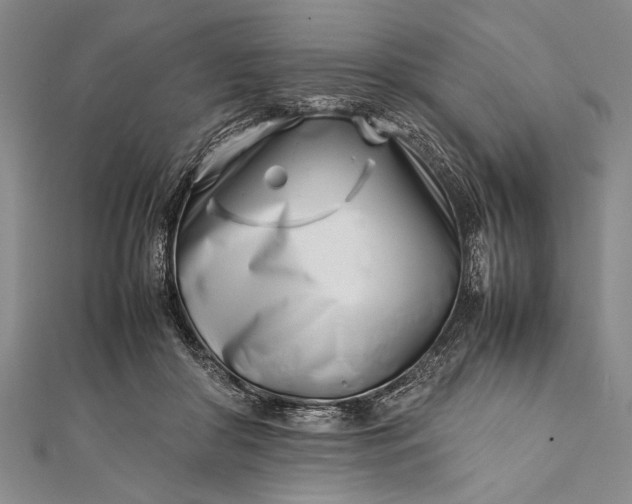 X0000112370410200908271323