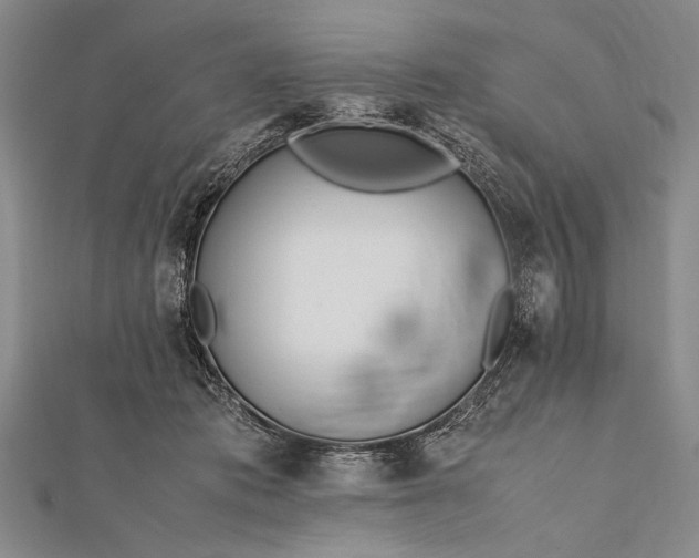 X0000112370413200908271322