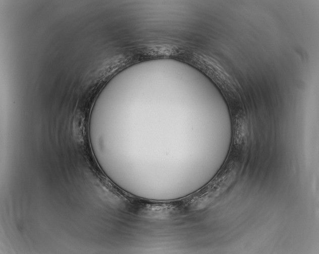 X0000112370414200908271322