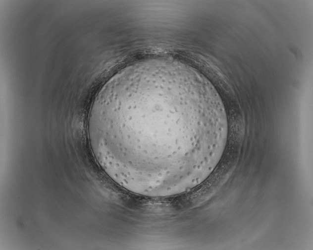 X0000112370415200908271322