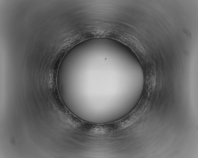 X0000112370416200908271322