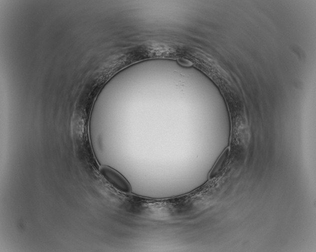 X0000112370417200908271322