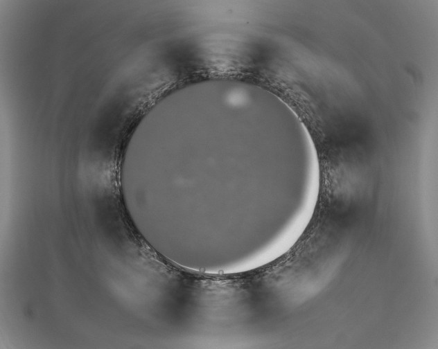 X0000112370419200908271322