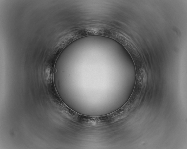 X0000112370420200908271322