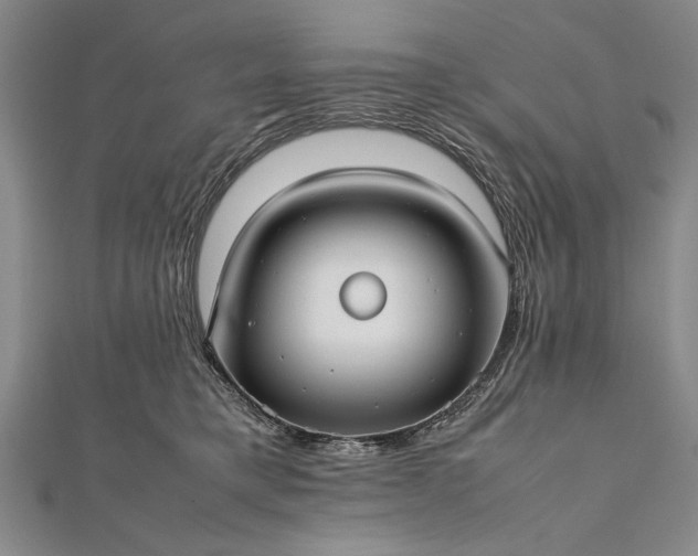 X0000112370421200908271322