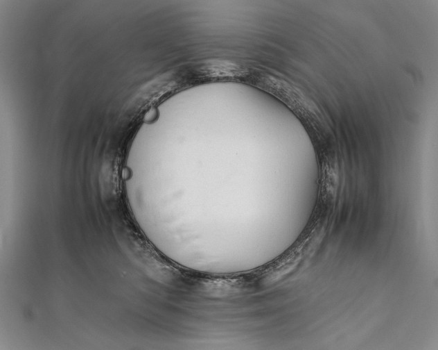 X0000112370422200908271322