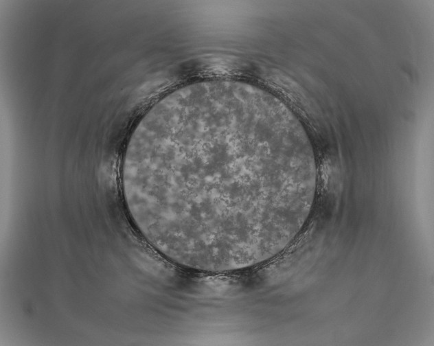 X0000112370423200908271322