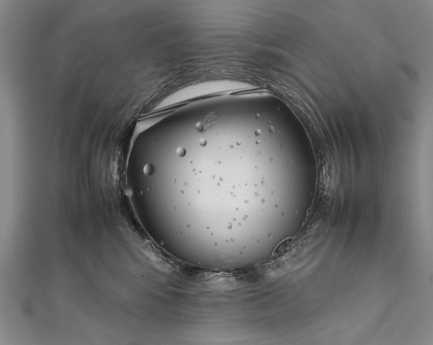 X0000112370424200908271322