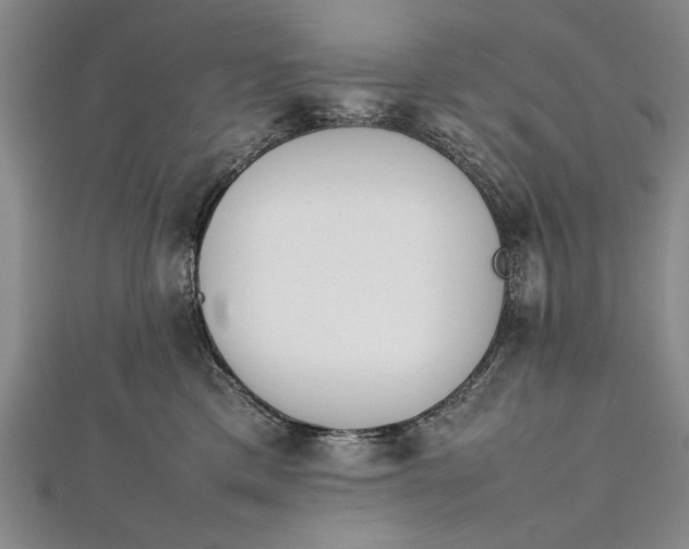 X0000112370425200908271322