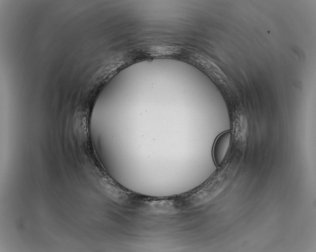 X0000112370426200908271322