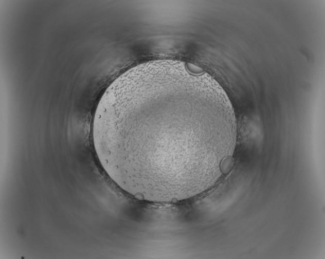 X0000112370427200908271322