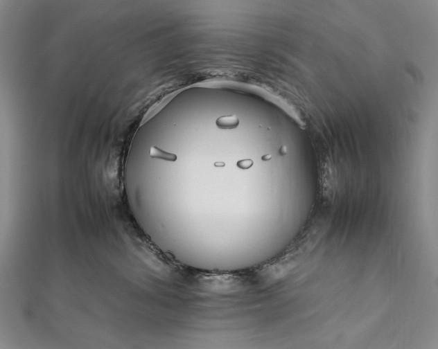 X0000112370428200908271322