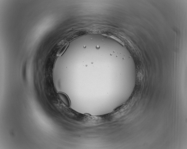 X0000112370429200908271322