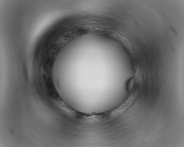 X0000112370430200908271322