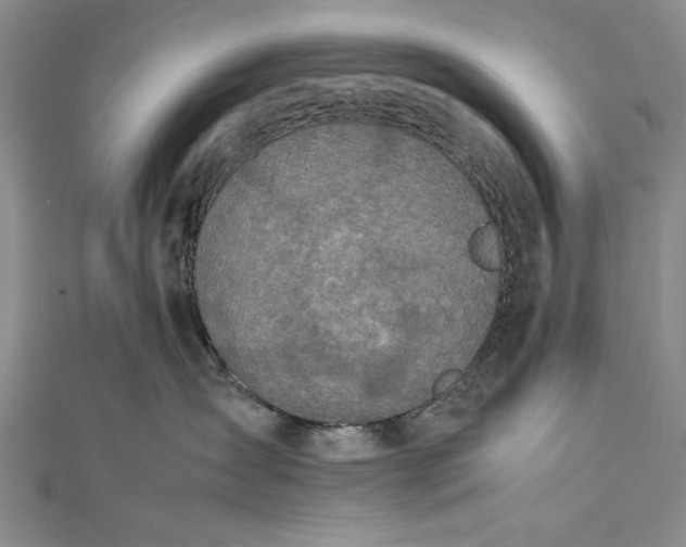 X0000112370431200908271322