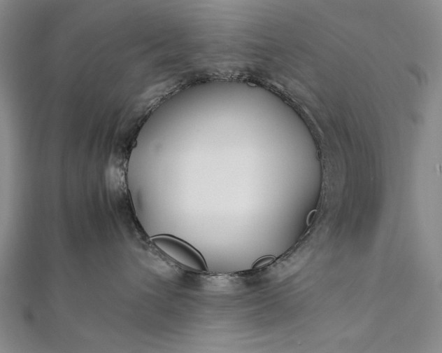 X0000112370432200908271322