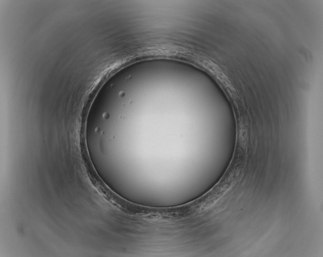 X0000112370434200908271322