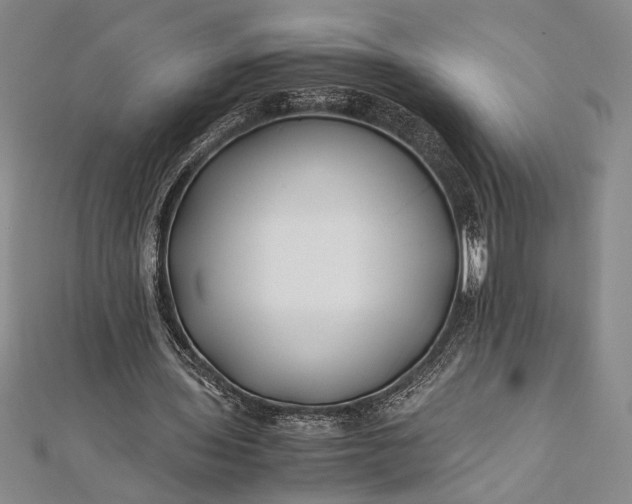 X0000112370435200908271322