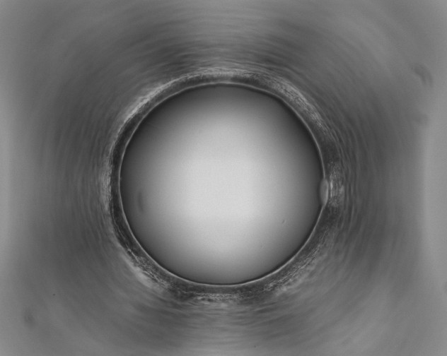 X0000112370436200908271322