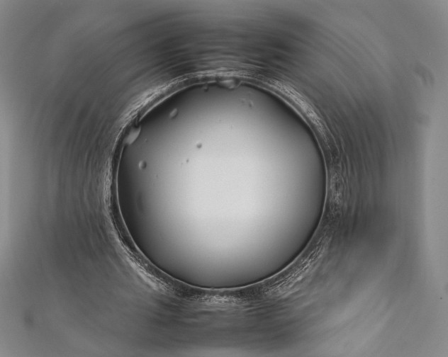 X0000112370437200908271322