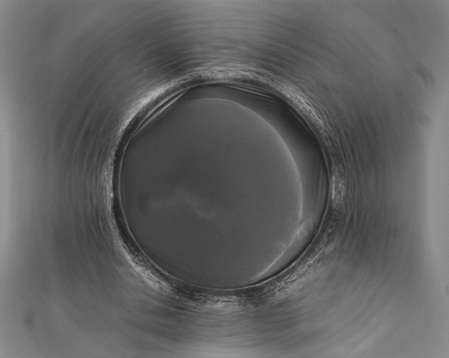 X0000112370438200908271322