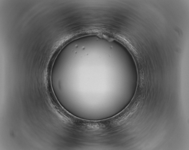 X0000112370439200908271322