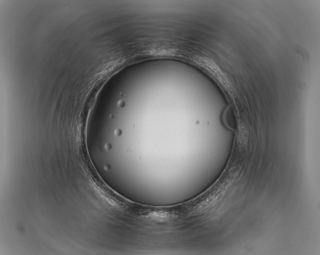 X0000112370441200908271322