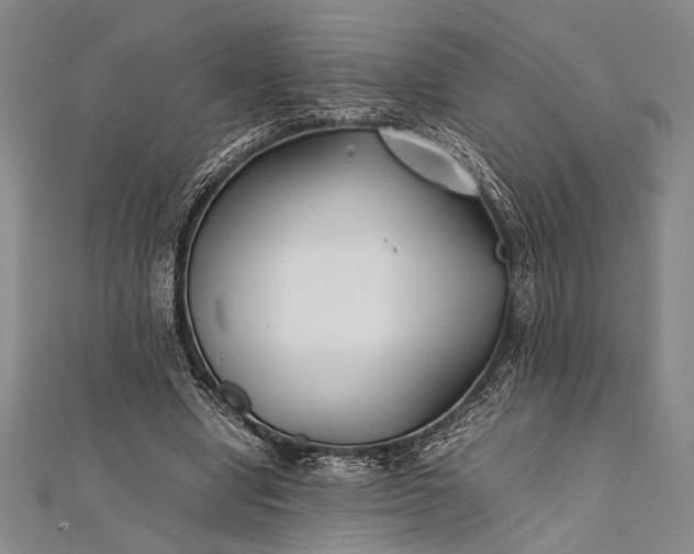 X0000112370442200908271322