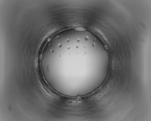 X0000112370443200908271322