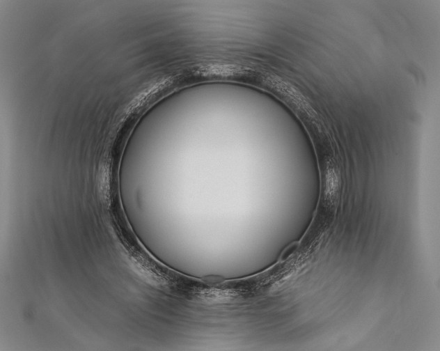 X0000112370444200908271322