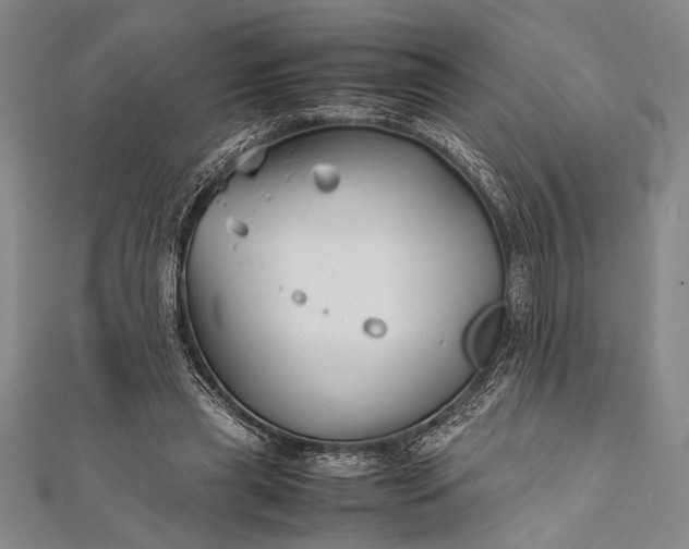 X0000112370445200908271322