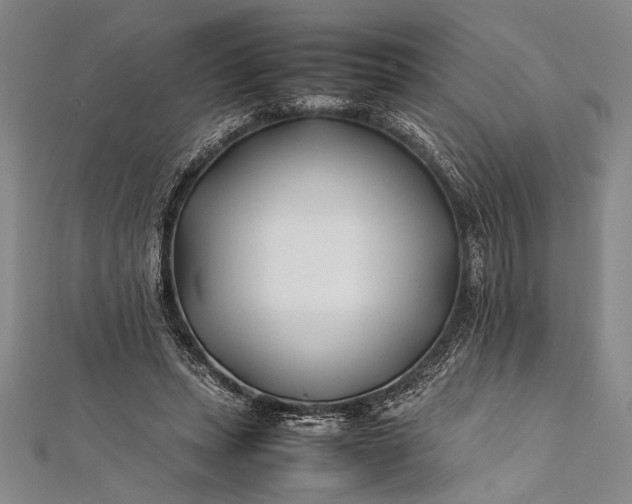 X0000112370447200908271322