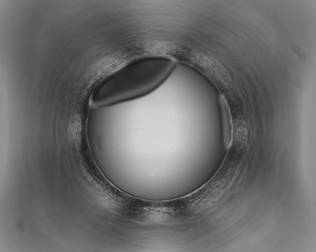 X0000112370448200908271322