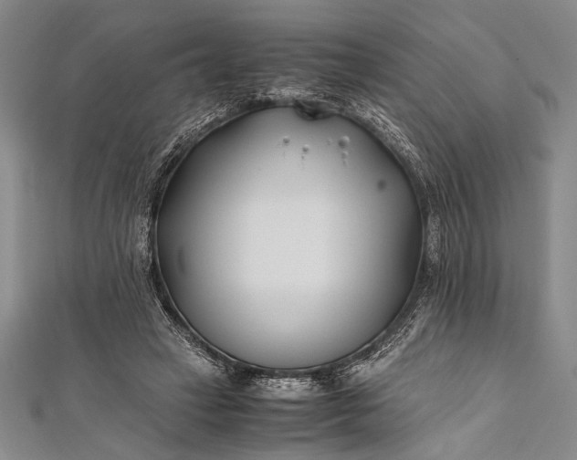 X0000112370449200908271322