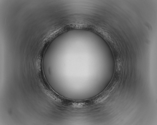 X0000112370450200908271322