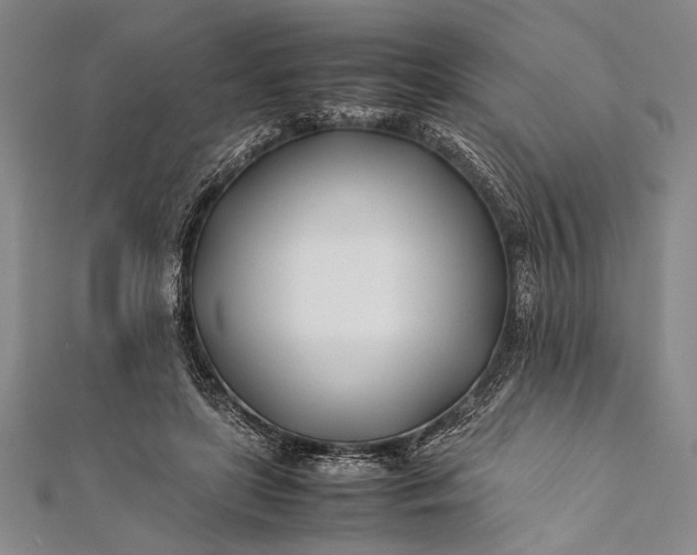 X0000112370451200908271322